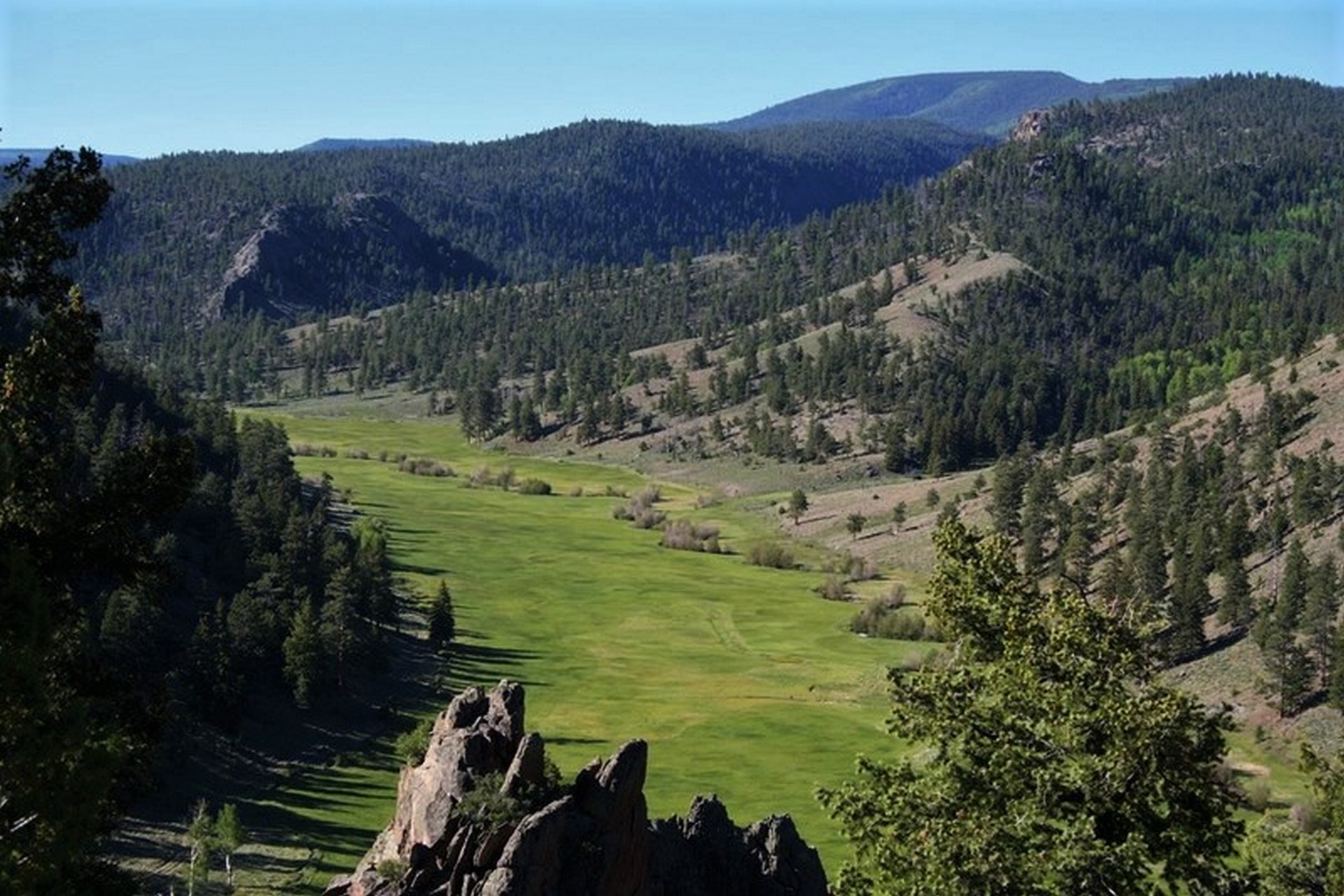 Verdant Mountain Valley sits below Vast, Forested Mountains, under clear blue skies, on Ivordt Ranch- A Colorado Ranch For Sale