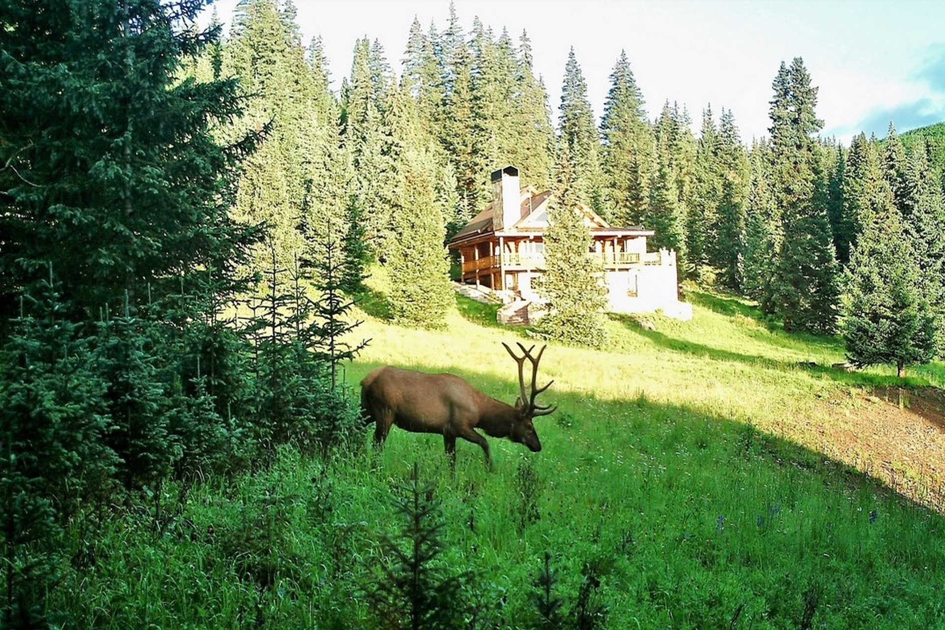 Gunnison, Colorado Land For Sale Little Willow Ranch M4 Ranch Group