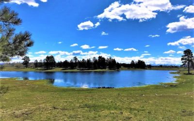 Salter Y Ranch