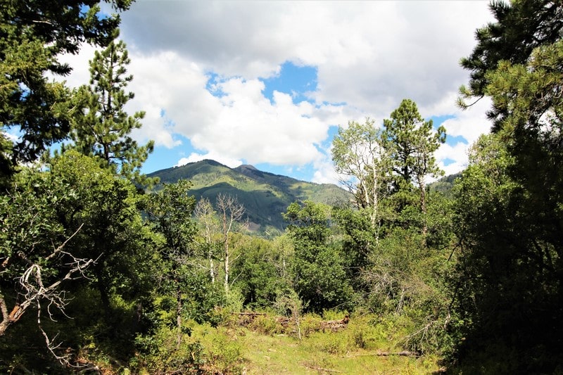 Coloradomountainriverproperty M4 Ranch Group
