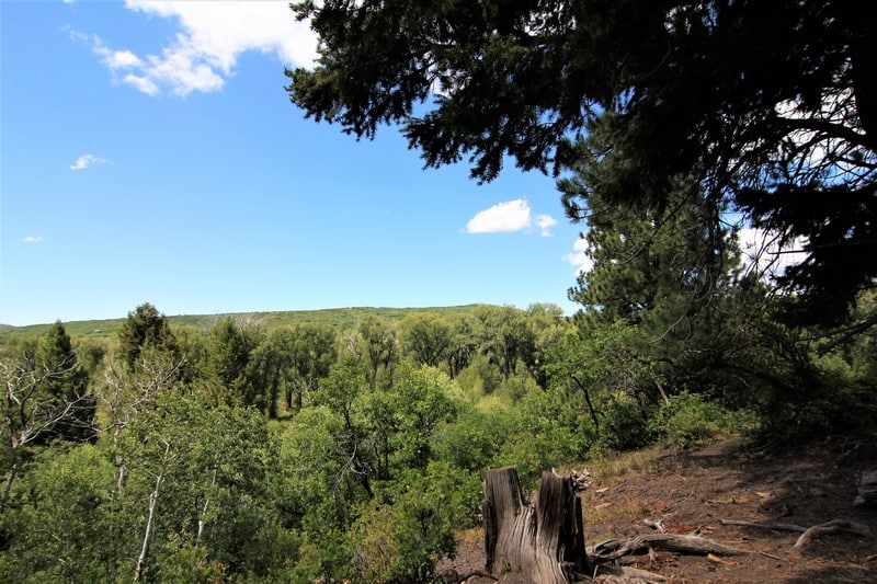 pagosa springs co homes