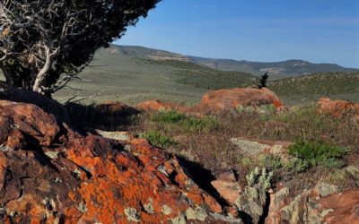 Juniper Mountain Ranch