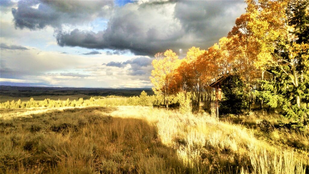 Triple R Ranch Bull Triple R Ranch Colorado | Hunting, 318 Acres | M4 Ranch Group