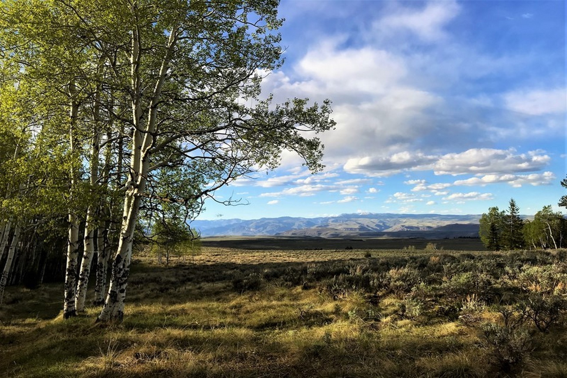 Triple R Ranch Hunting Property For Sale in Colorado M4 Ranch Group