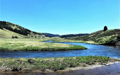 Rio de Los Pinos Ranch