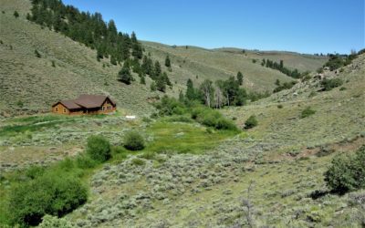 End of the Road Ranch