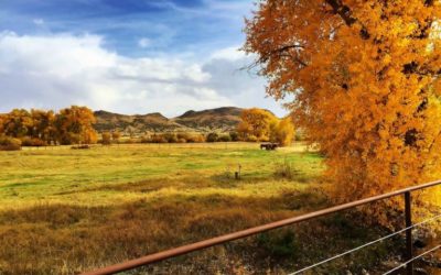Preparing Your Land for Sale