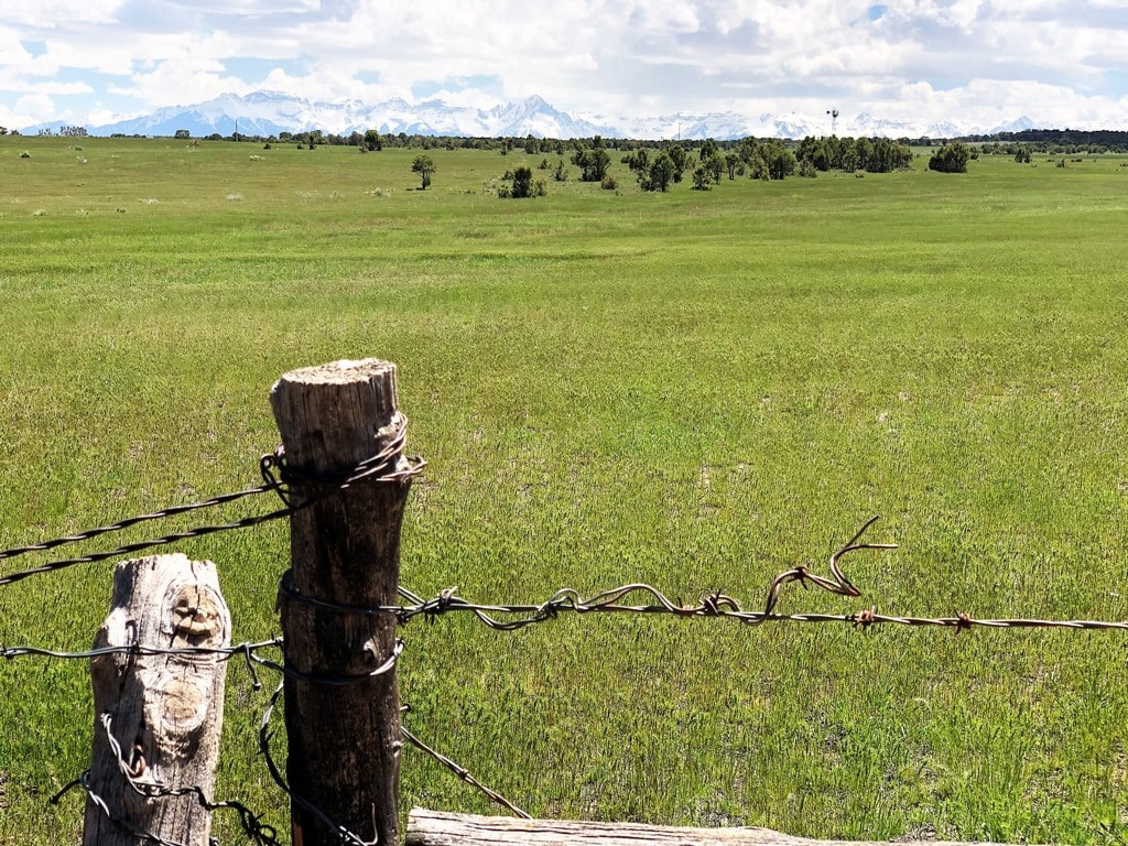 barbed wire on a green meadow in a farm