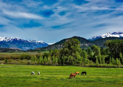Valuable Features of Ranches