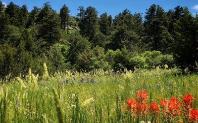 Wales Canyon Ranch