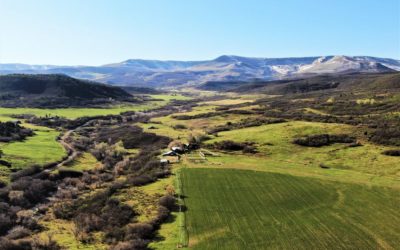 Buck Basin Ranch