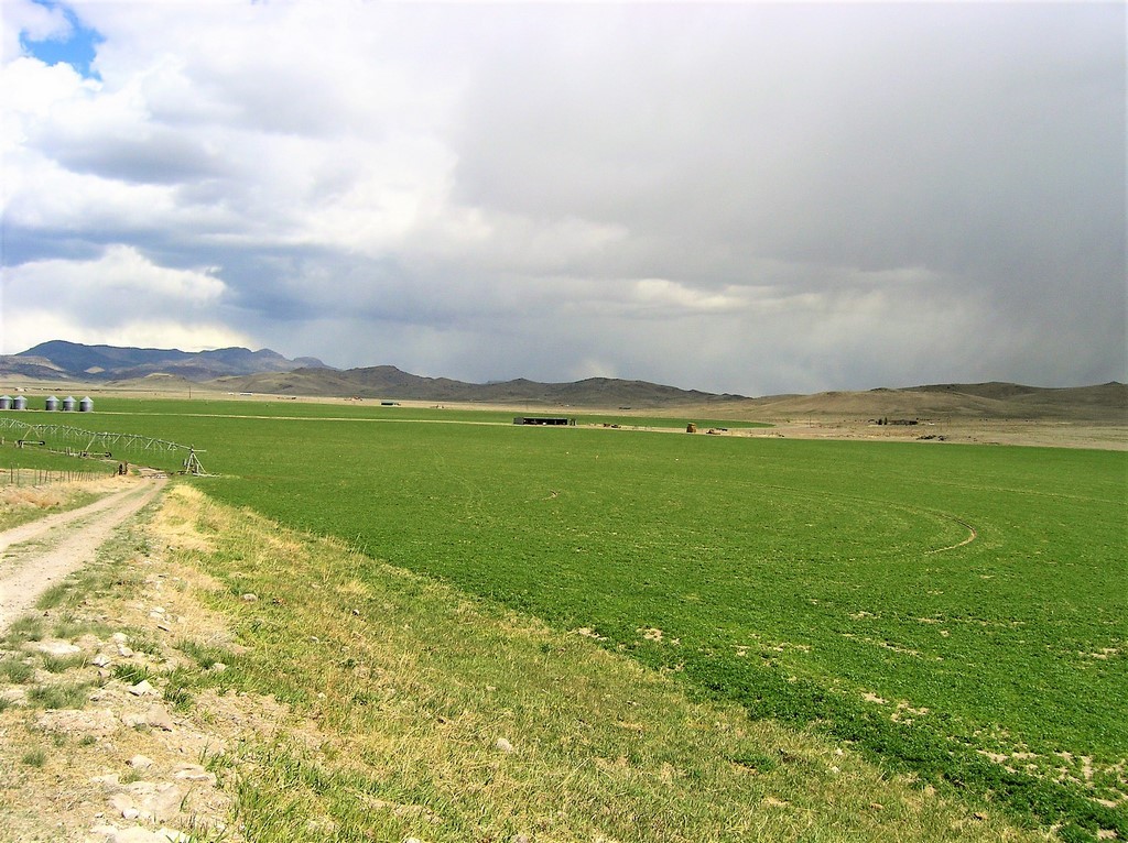 Lonesome Ranch - Agriculture Ranchland