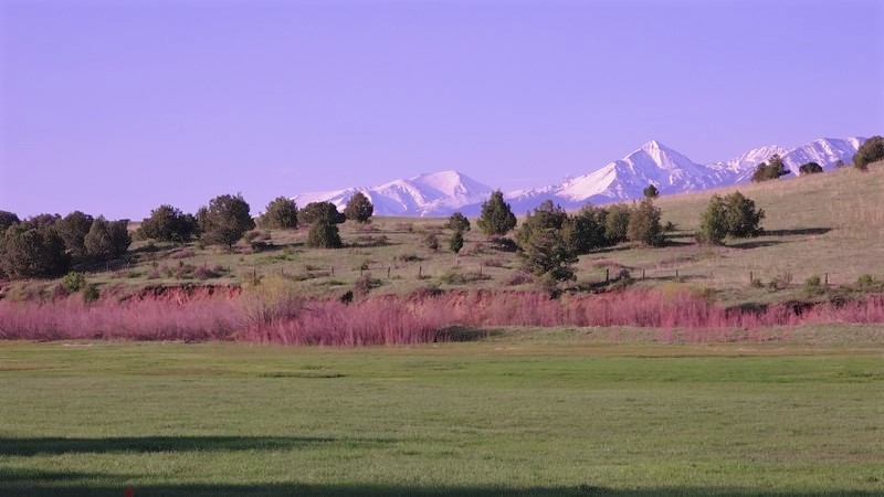 Wolf Springs Ranch — M4 Ranch Group