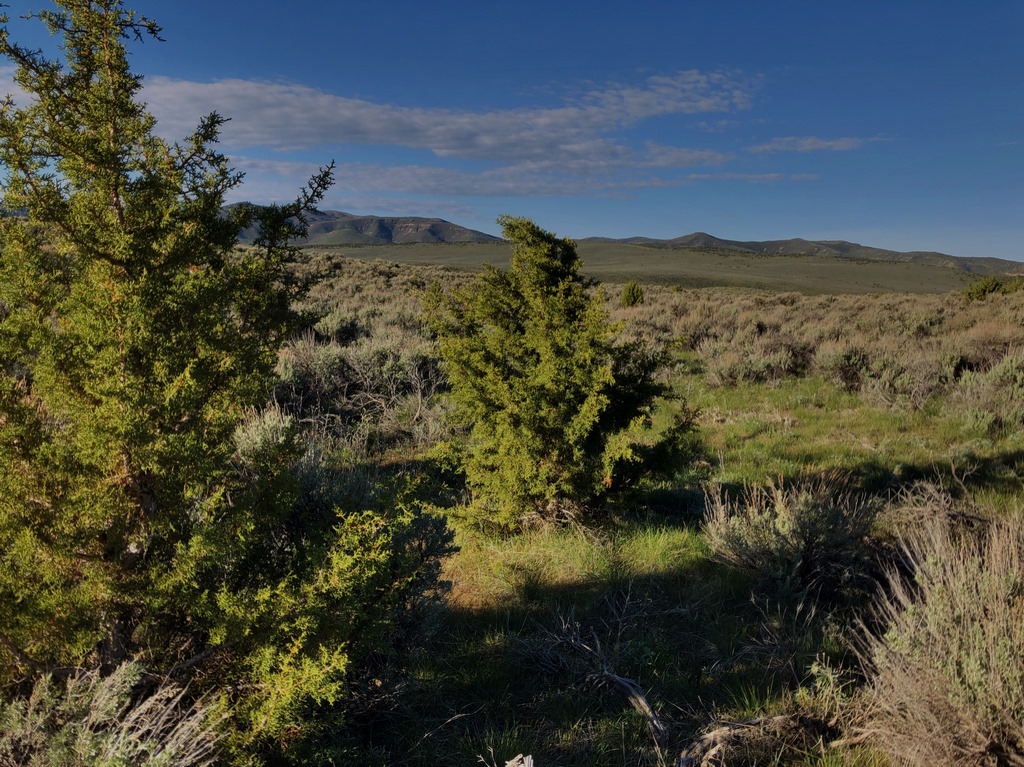 Juniper Mountain Ranch Property View