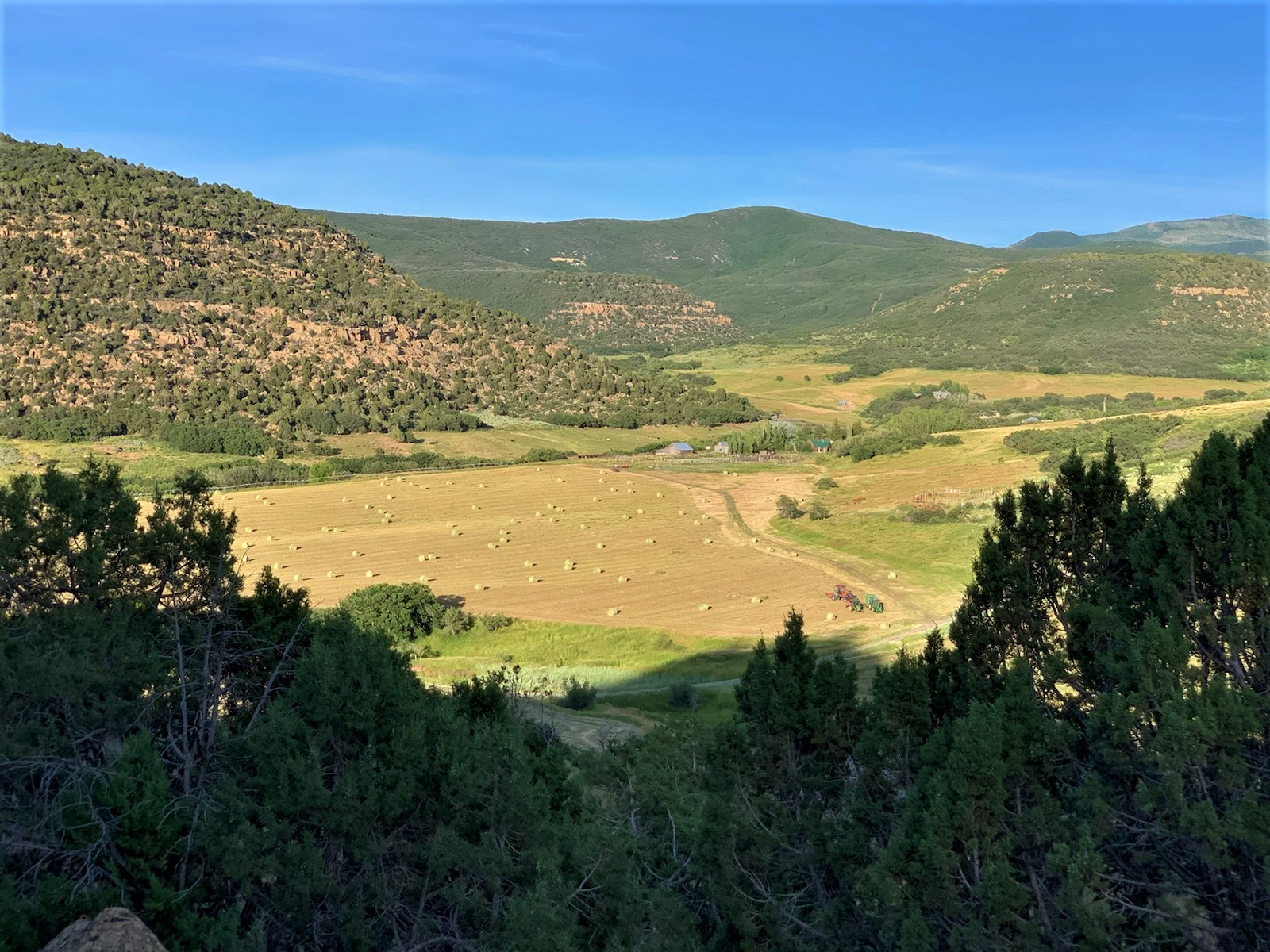 Mesa County Land For Sale - Buck Basin Ranch