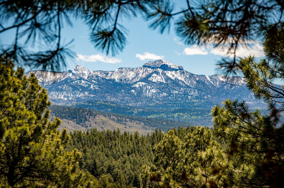 Pagosa Springs Office - M4 Ranch Group Pagosa Springs Office - M4 Ranch Group