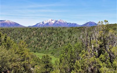 La Plata Mountain Ranch