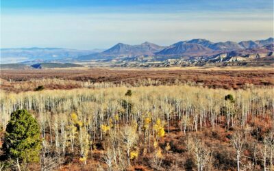 Ridge Ranch
