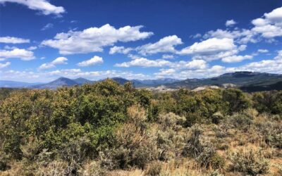 Ridge Ranch