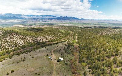 Rose Hips Ranch