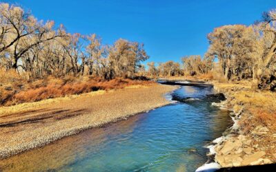 Poage Rio Grande Ranch