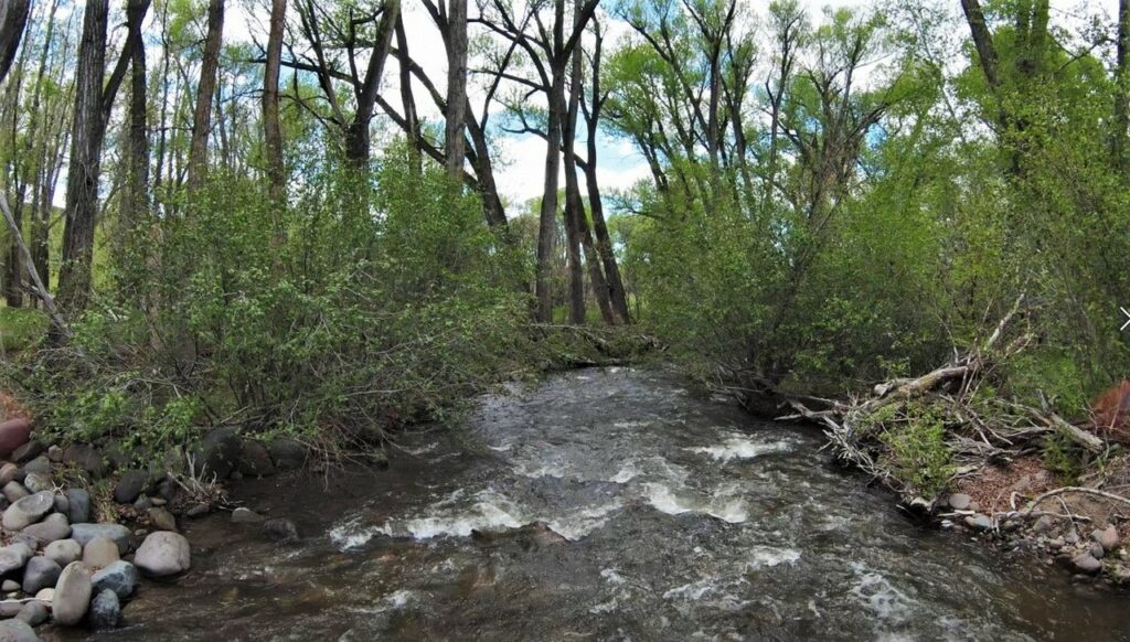 Little Cimarron Colorado Ranch Land For Sale Fishing 64 Acres