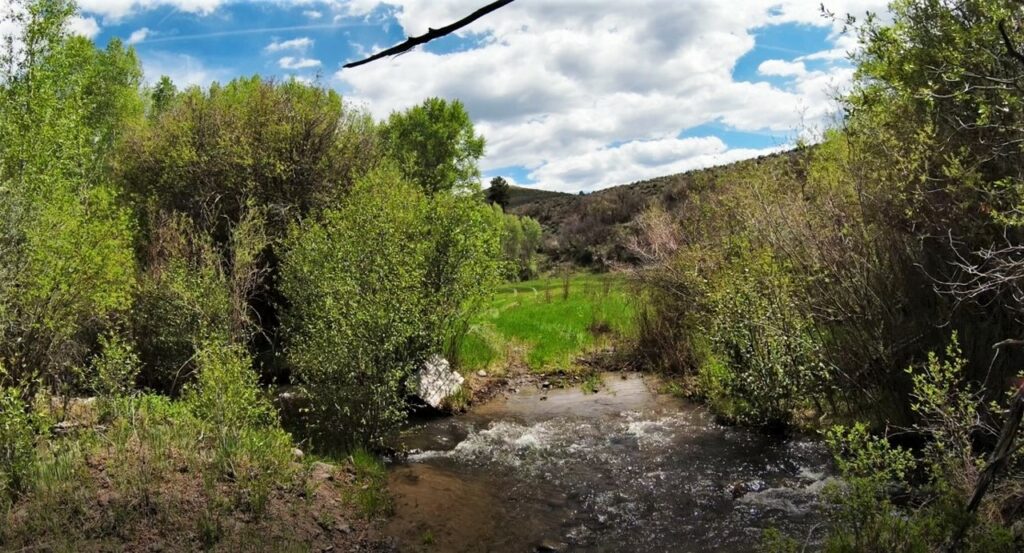 Little Cimarron Colorado Ranch Land For Sale | Fishing | 64 Acres