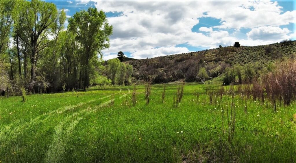 Little Cimarron Colorado Ranch Land For Sale Fishing 64 Acres