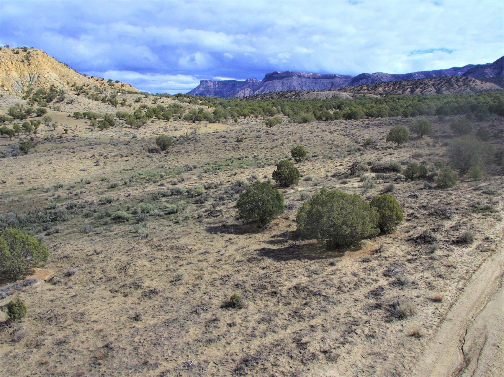 Mesa Verde Ranch Mountains