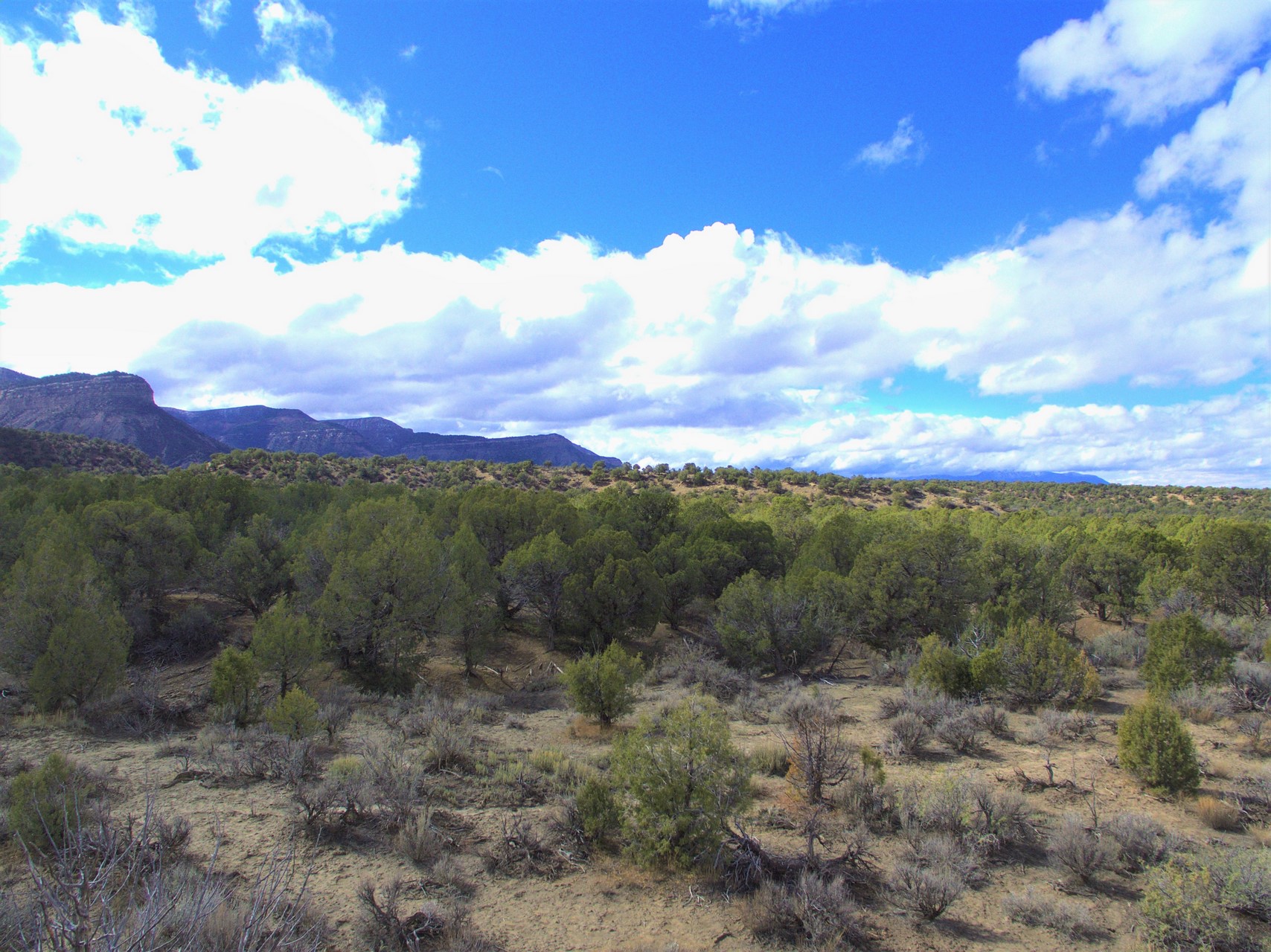 Mesa Verde Ranch Land