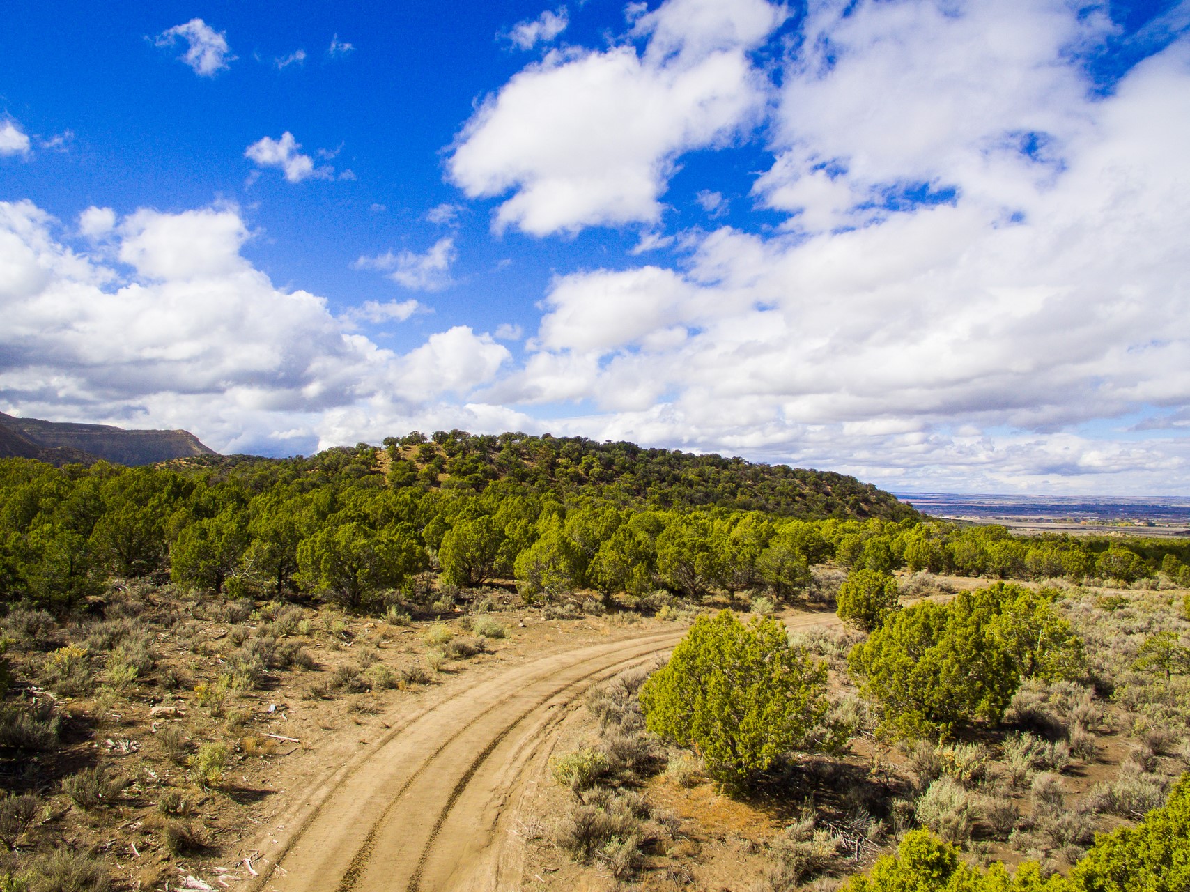 Mesa Verde Ranch - Southwest Colorado