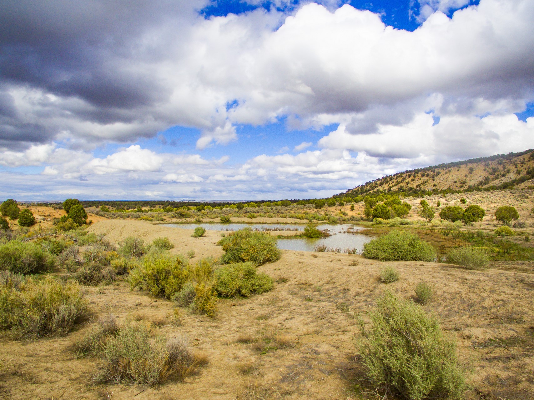 Mesa Verde Ranch - Southwest Colorado