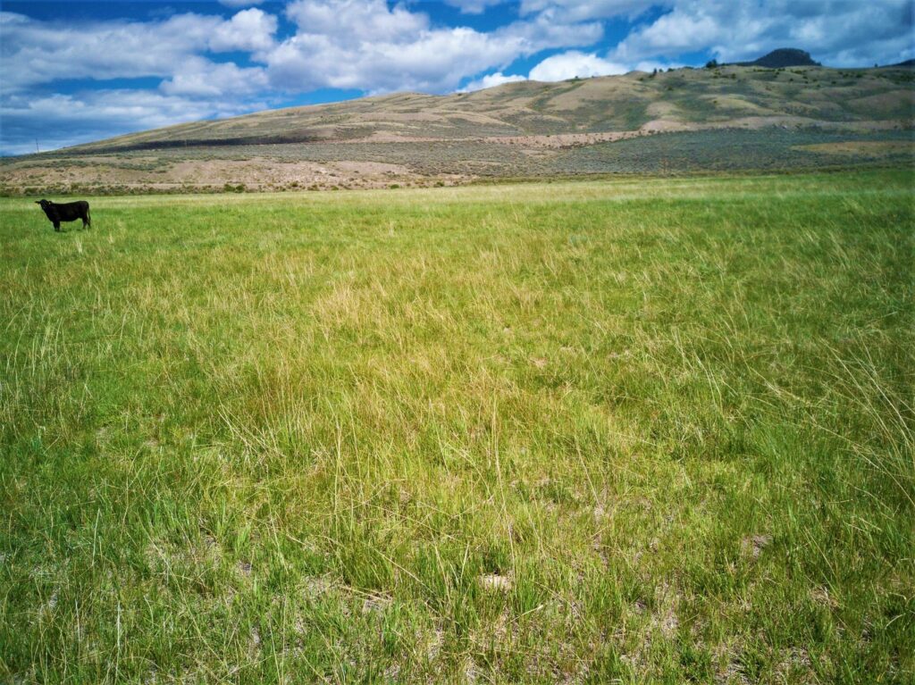 Saguache County, Colorado Land For Sale - Historical Razor Creek Ranch