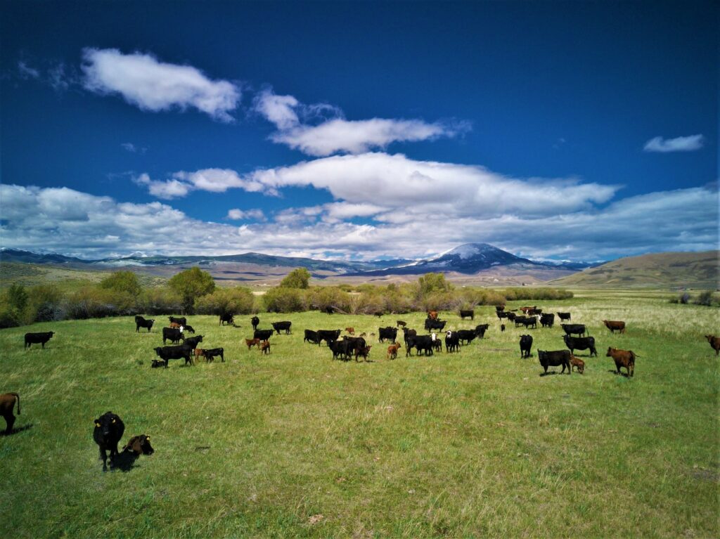 Saguache County, Colorado Land For Sale - Historical Razor Creek Ranch