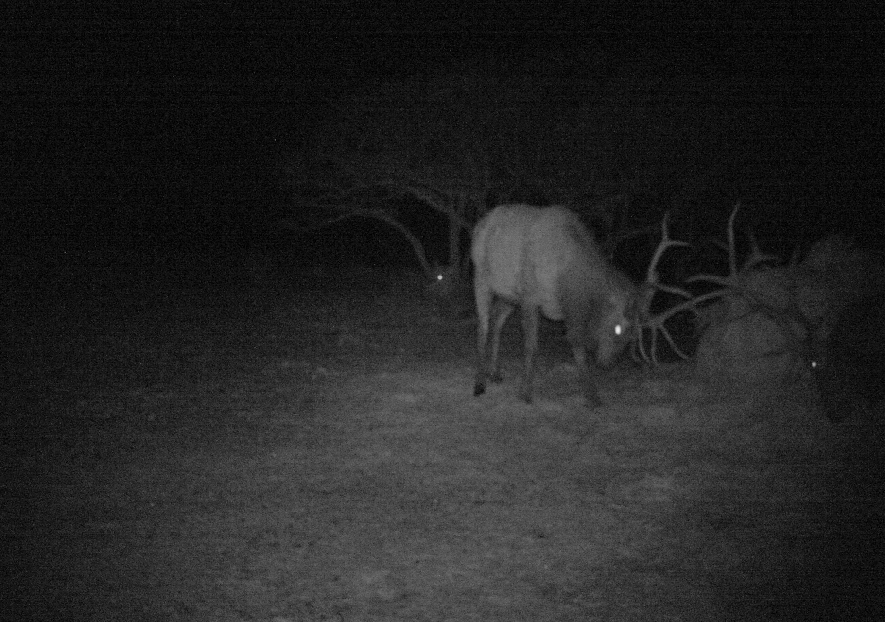 Hunting Cabin For Sale Colorado - Uncompahgre Plateau Ranch