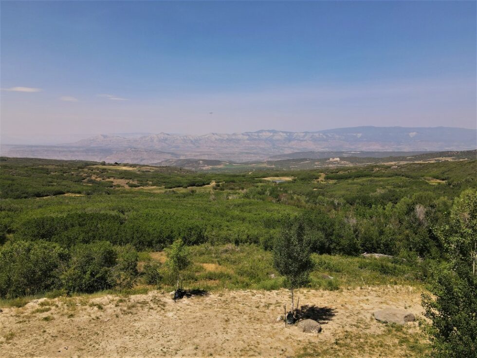 Land For Sale Mesa, Colorado Bull Basin M4 Ranch Group