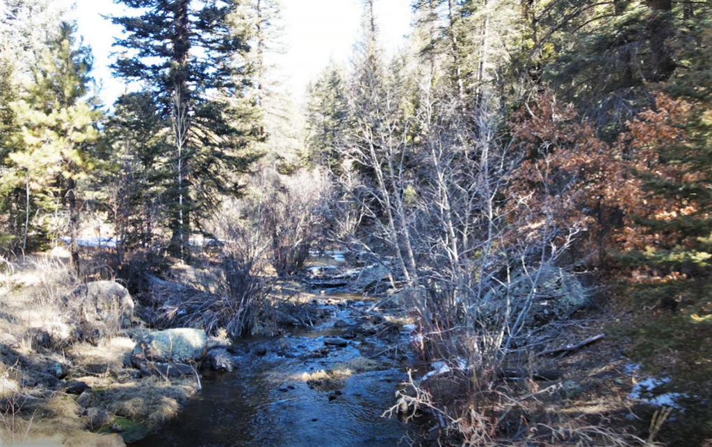 Guadalupita, NM Land For Sale Coyote Creek Ranch M4 Ranch Group