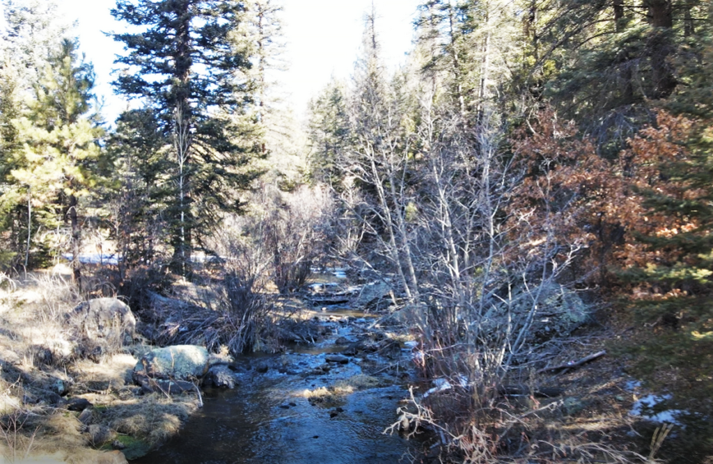 Guadalupita, NM Land For Sale Coyote Creek Ranch M4 Ranch Group