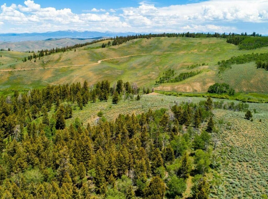 Gunnison Colorado Land For Sale Gunnison Land For Sale M4 Ranch Group