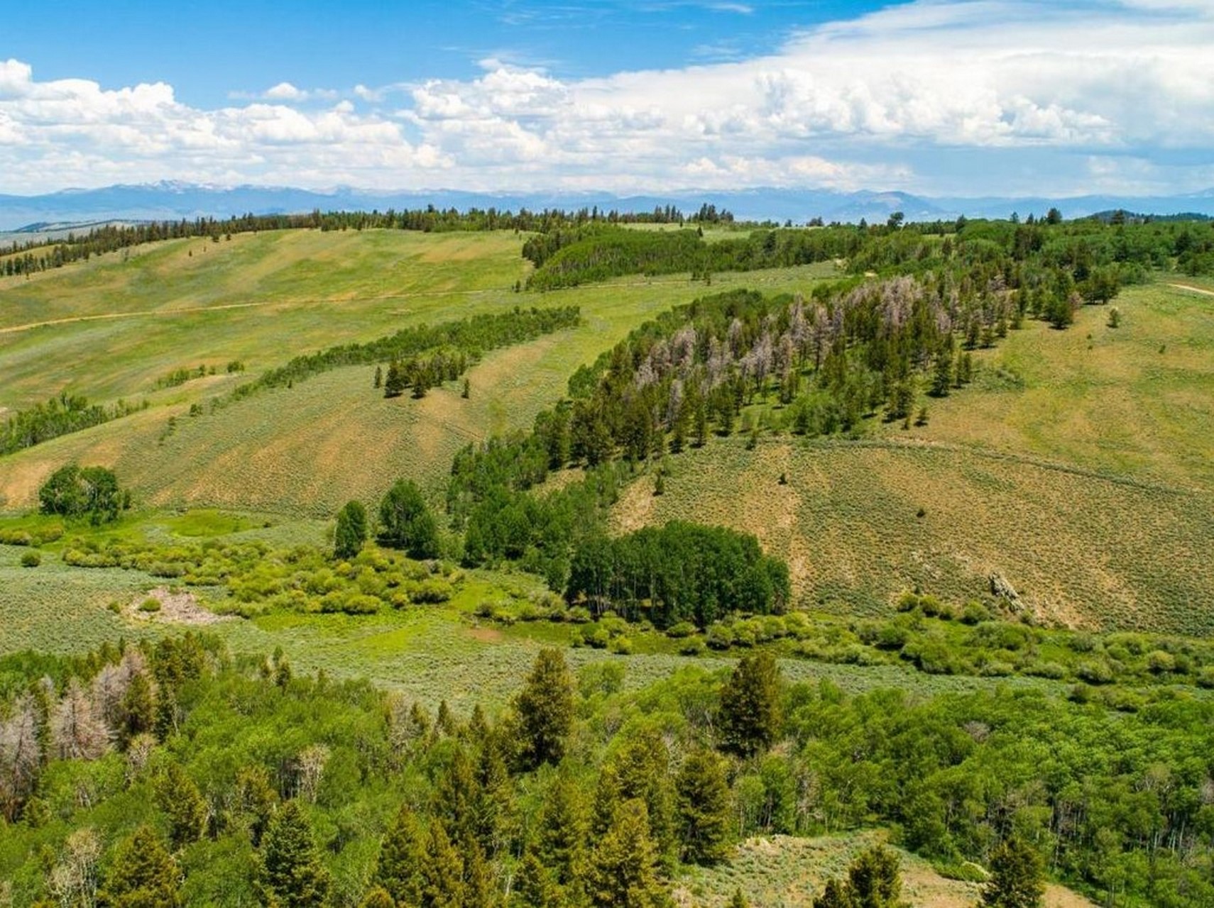 Gunnison Colorado Land For Sale Gunnison Land For Sale M4 Ranch Group