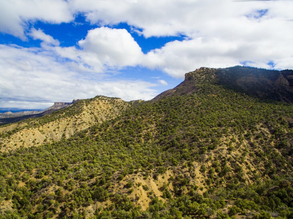 Cortez Colorado Real Estate Land For Sale Cortez, CO M4 Ranch Group