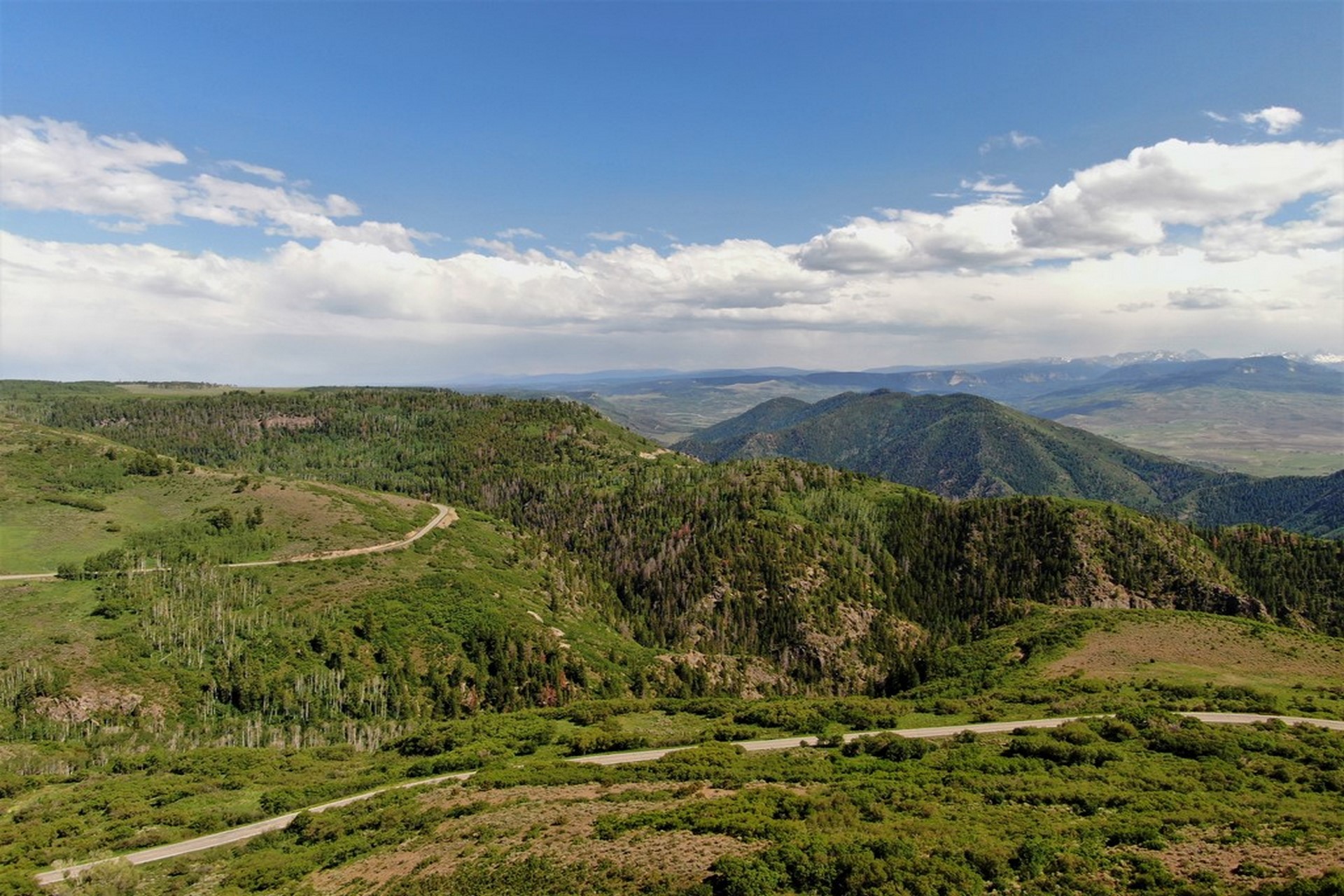 Black Canyon Overlook Deer Hunting Land for Sale Crawford, CO