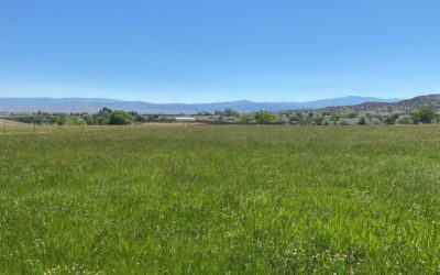 Ranger Road Ranch