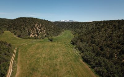 Split Fork Ranch