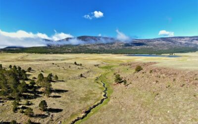 Black Lake Ranch