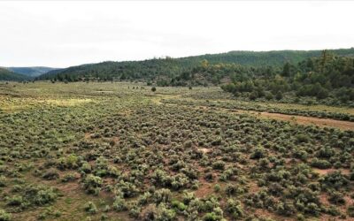 Jicarilla Ranch