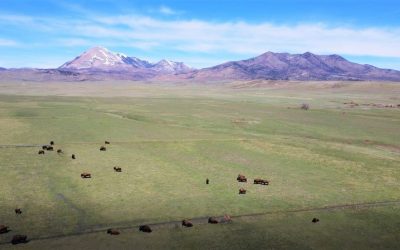 Citadel Ranch