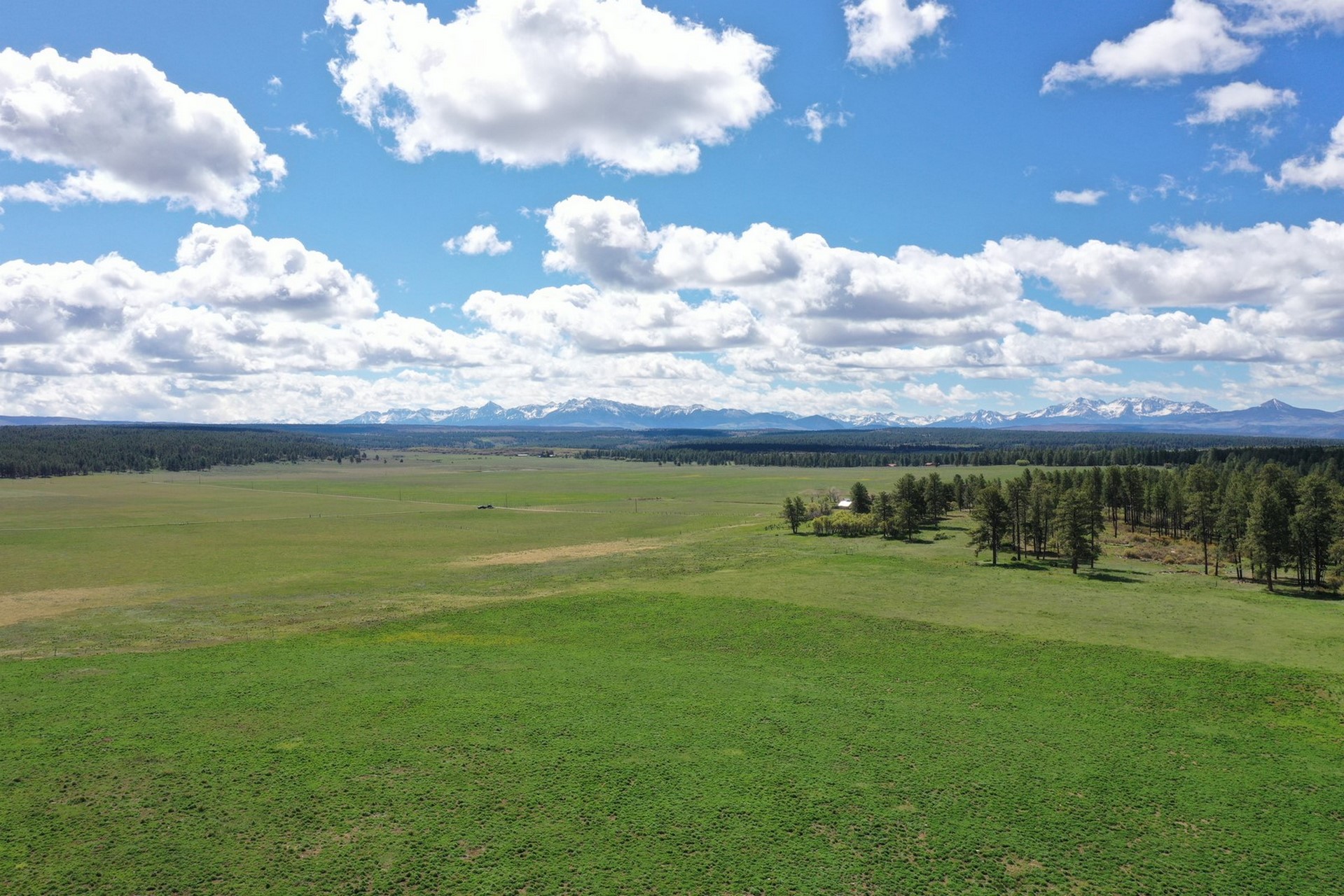 Full Draw Ranch — M4 Ranch Group