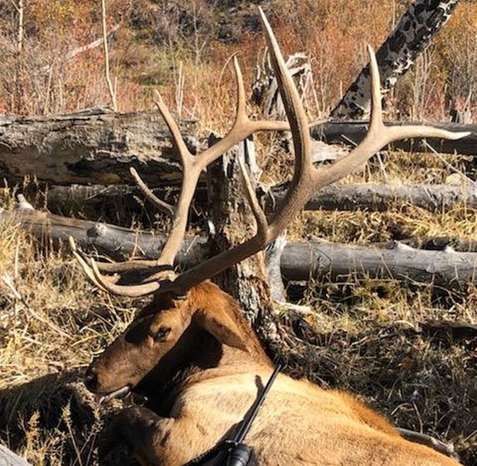 Ponderosa Ridge Ranch for sale Colorado | Hunting, grazing acres