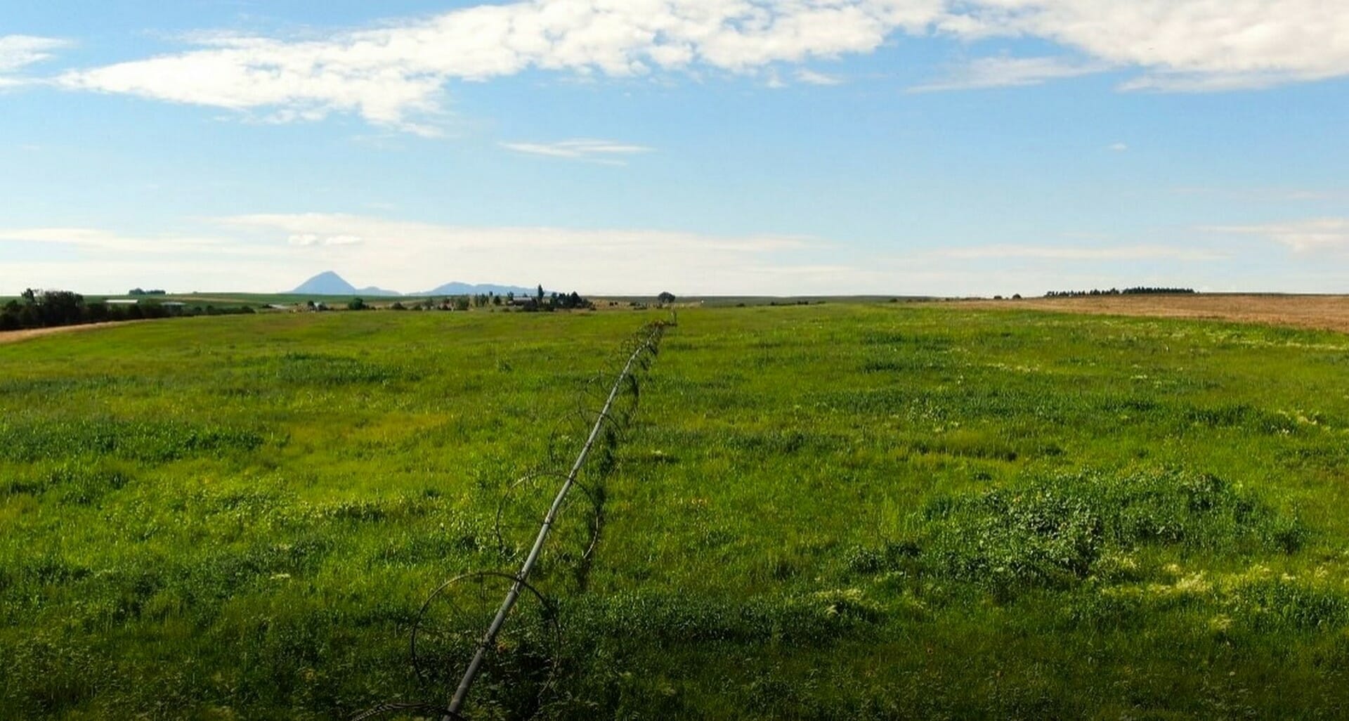 Lanier Farms — M4 Ranch Group